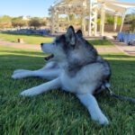 Centennial Hills Park amphitheaters