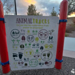 Alyn Beck Memorial Park animal tracks