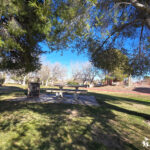 Angel Park Picnic tables