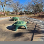 Angel Park Turtles