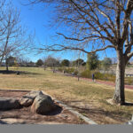 Angel Park Hills
