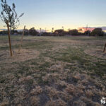 Firefighter Memorial Park field