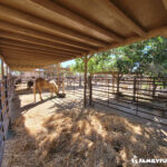 The Las Vegas Farm stables