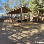 The Las Vegas Farm Stables