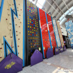 Rex Center Climbing Walls