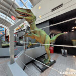 Rex Center Las Vegas Dinosaur
