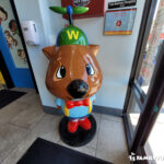 Wally Wombats in Summerlin mascot