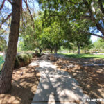 Aliante Nature Discovery Park jogging path