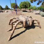 Craig Ranch Park spider