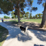 Craig Ranch Park dog park