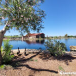 Craig Ranch Park Lake