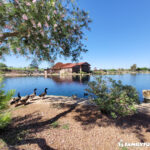 Craig Ranch Park Lake