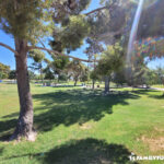 Craig Ranch Park shady trees