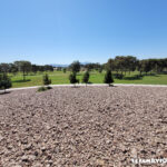 Craig Ranch Park overview