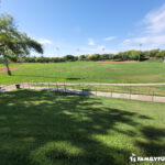 Willows Park Field