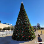 Christmas tree near rock rink