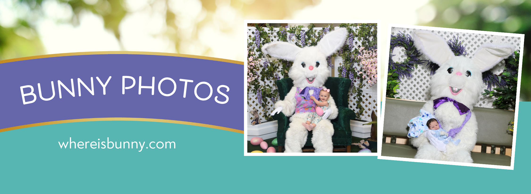 Bunny Photos | The District at Green Valley Ranch