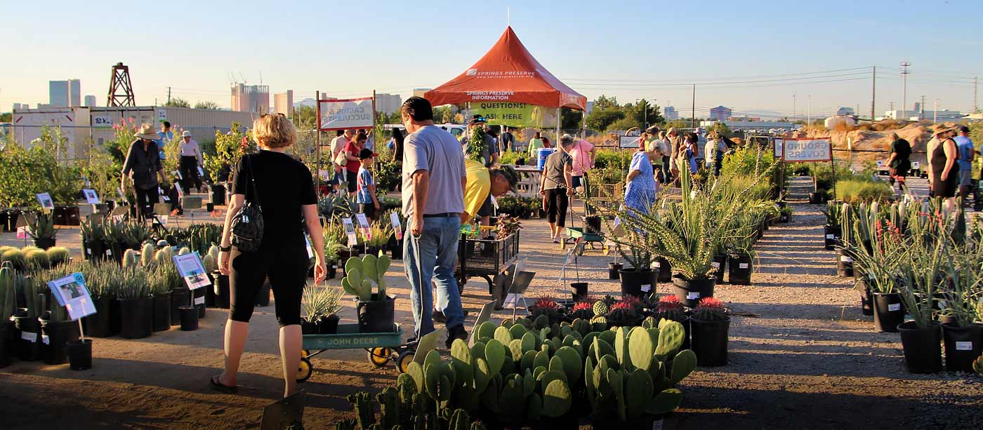 Fall Plant Sale