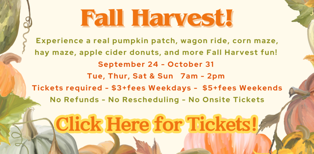 Fall Harvest at Gilcrease Orchard