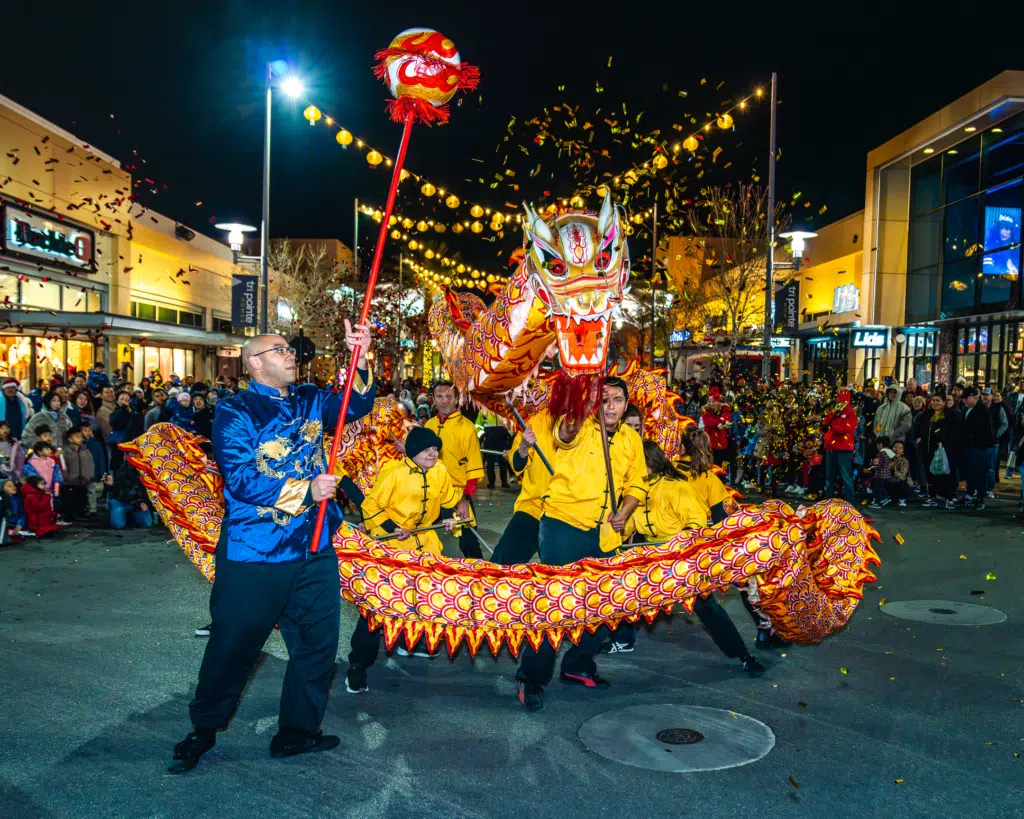 Lunar New Year Parade