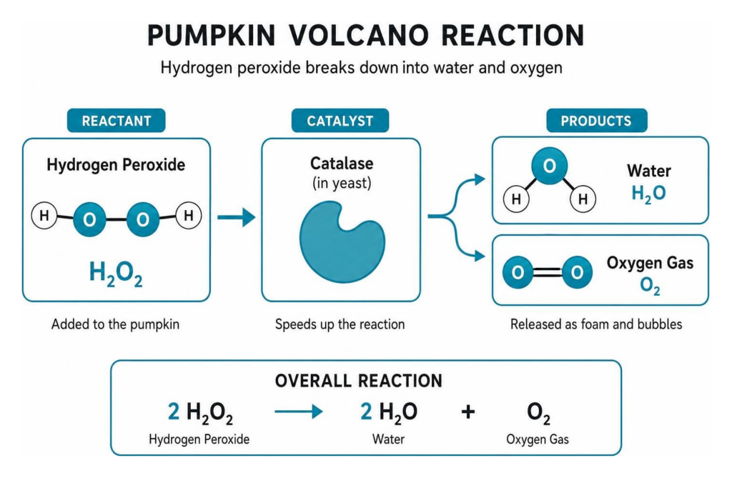 scientific reaction
